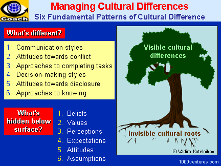 Cultural Differences: visible and invisible