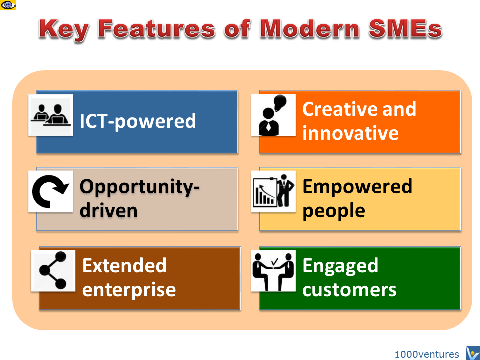 SMEs key features