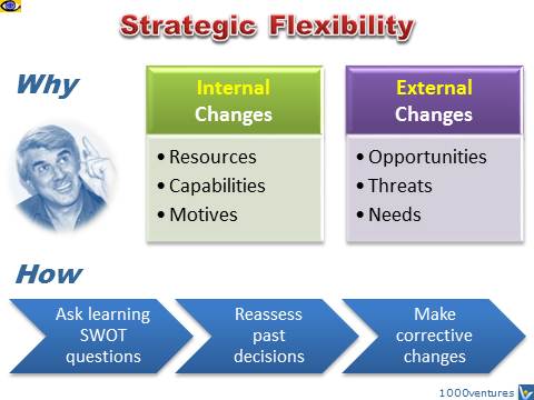 Strategic Flexibility: Why and How, Vadim Kotelnikov