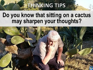 Vadim Kotelnikov jokes humorous quotes Sitting on a cactus may sharpen your throughts